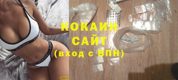 стафф Кулебаки
